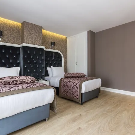 Dencity Hotels&spa 4* Istanboel