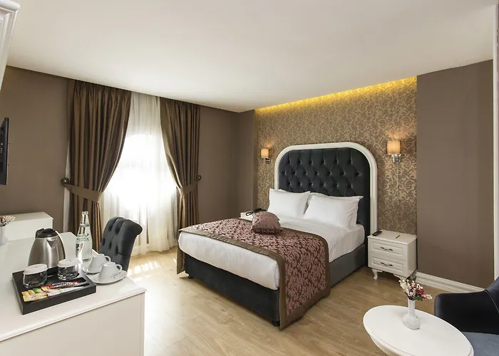 酒店 登城spa酒店 4*