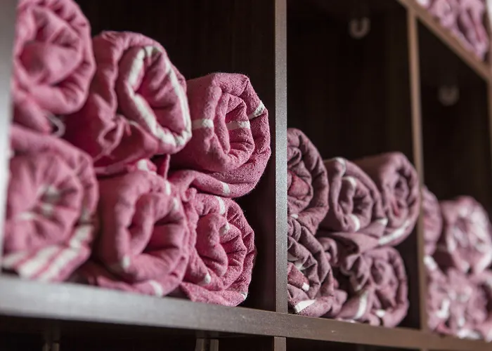 酒店 登城spa酒店