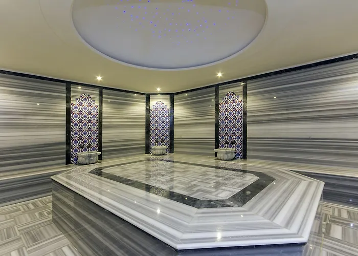 酒店 登城spa酒店 4*