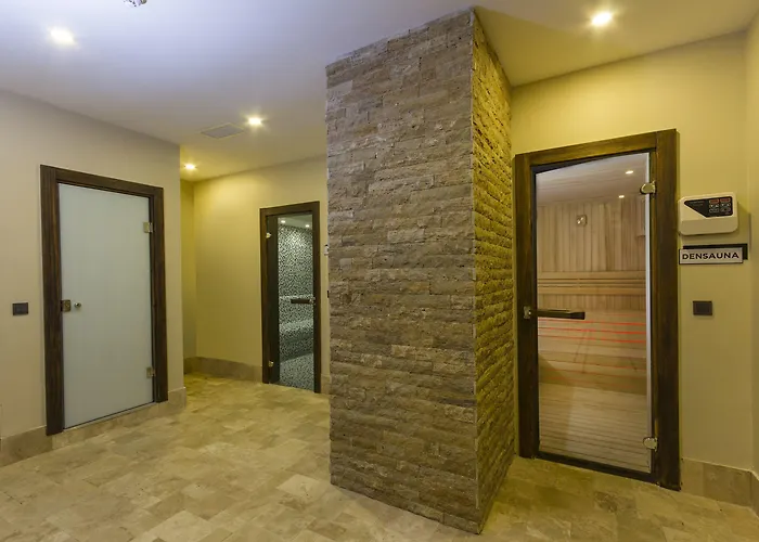 酒店 登城spa酒店 伊斯坦布尔