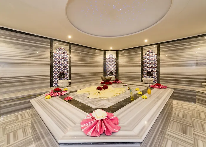 登城spa酒店 酒店 伊斯坦布尔