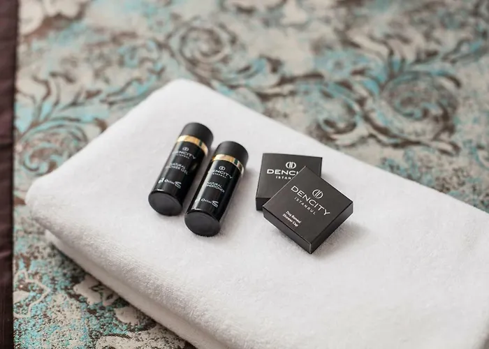 酒店 登城spa酒店 伊斯坦布尔